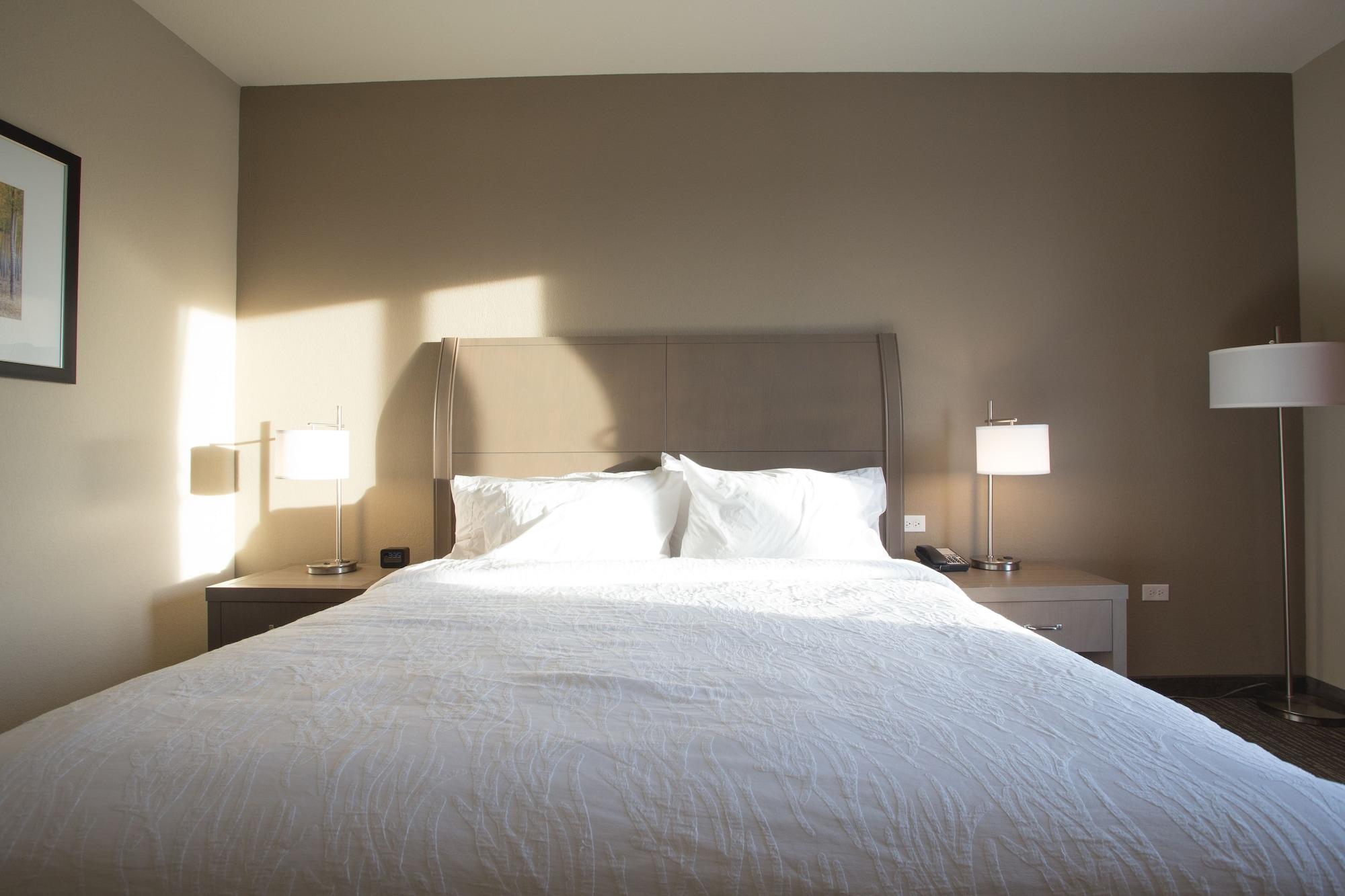 Hilton Garden Inn Bolingbrook I-55 מראה חיצוני תמונה